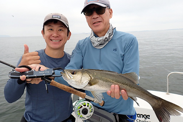 福岡県 博多湾 シーバス フライフィッシング