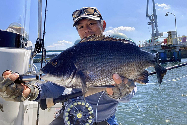 福岡県 博多湾 クロダイ フライフィッシング