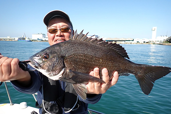 福岡県 博多湾 クロダイ フライフィッシング